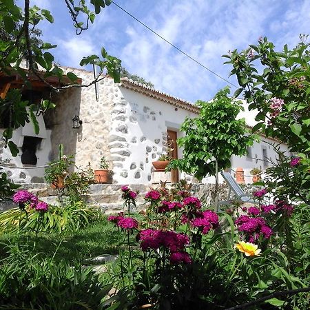 Quinta Do Tempo Turismo Rural Monchique Dış mekan fotoğraf