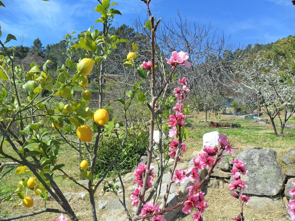 Quinta Do Tempo Turismo Rural Monchique Oda fotoğraf