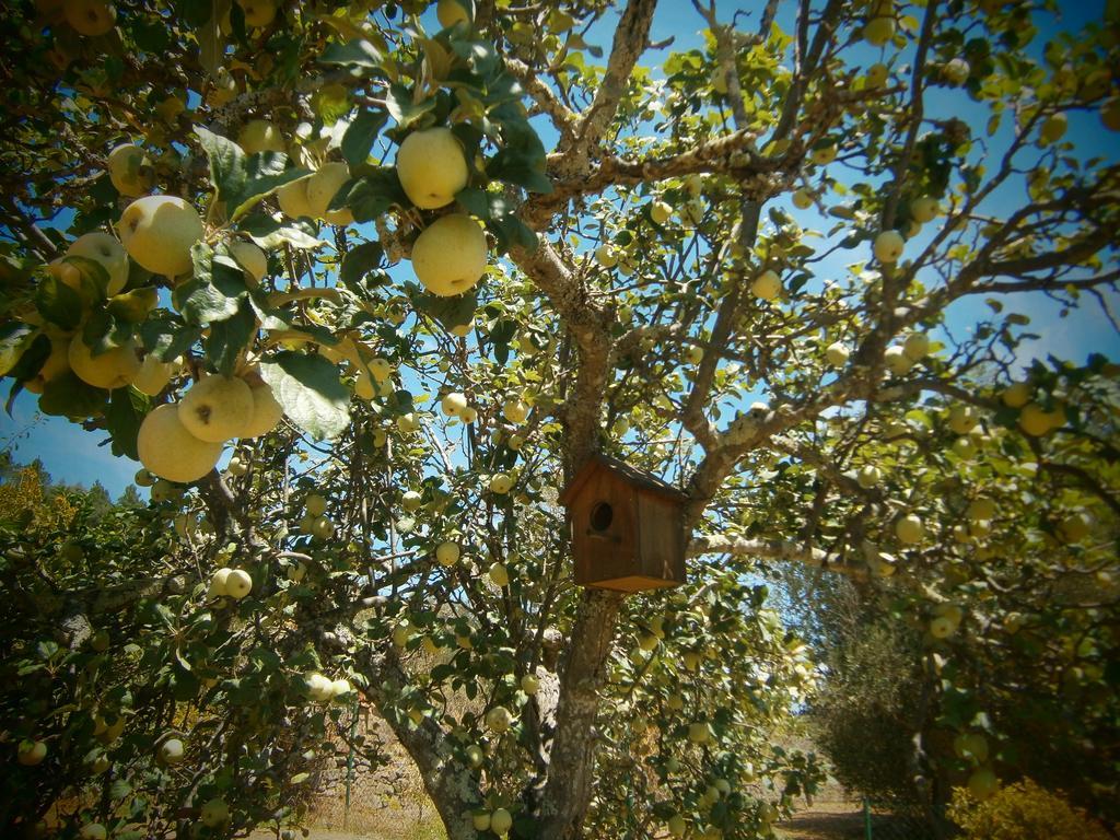 Quinta Do Tempo Turismo Rural Monchique Dış mekan fotoğraf