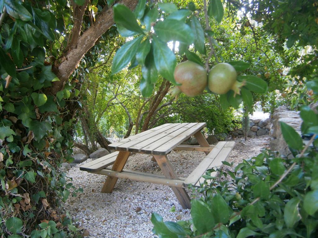 Quinta Do Tempo Turismo Rural Monchique Dış mekan fotoğraf